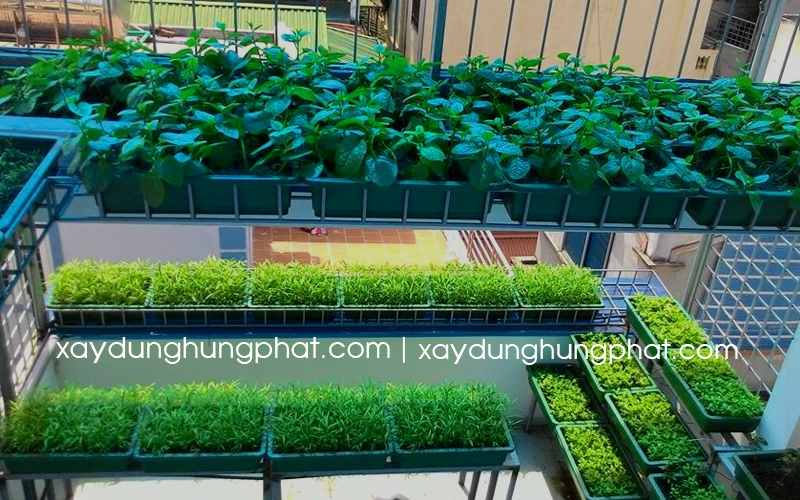 vuon-rau-mini-tai-ban-cong-san-thuong
